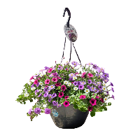 paars fuchsia wit hanger